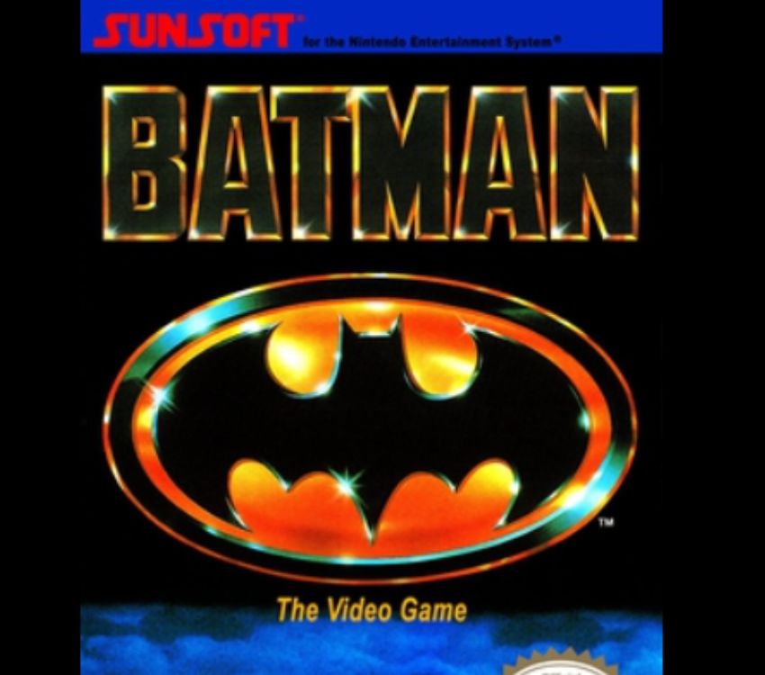 Batman The Video Game