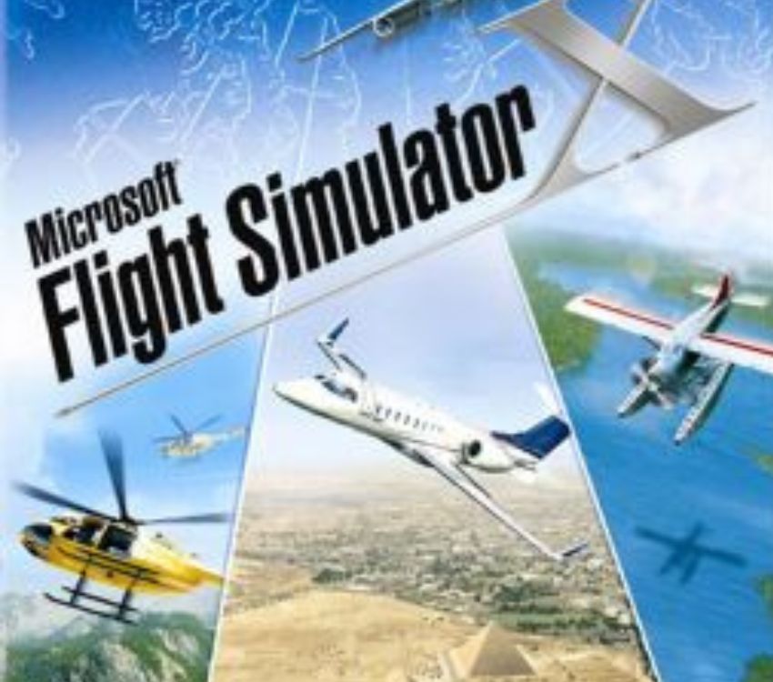 Microsoft Flight Simulator