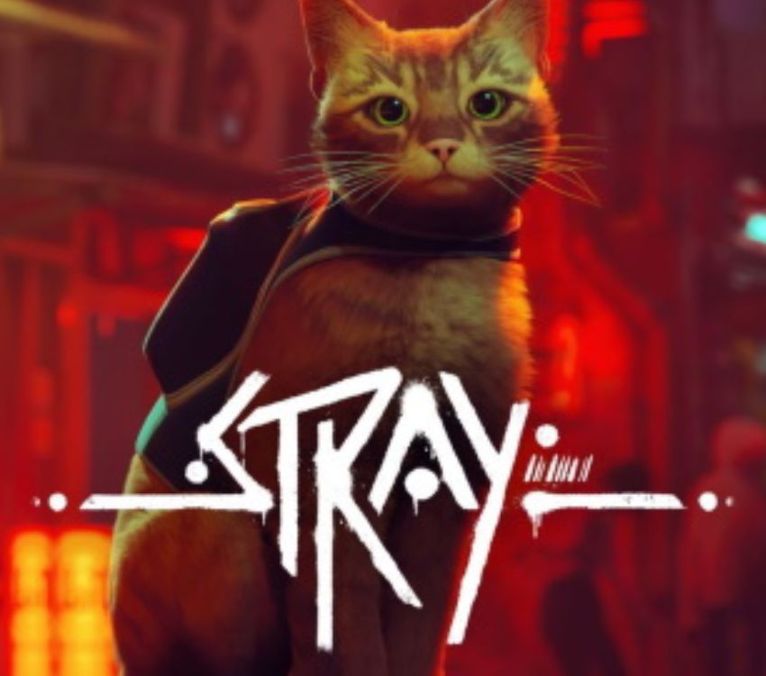 Stray 